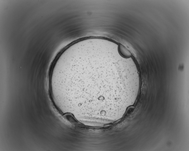 X0000100351080200807031808