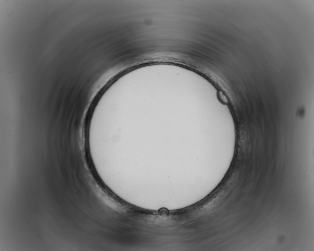 X0000100351082200807031808