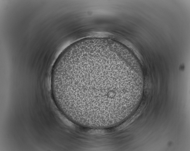 X0000100351083200807031808