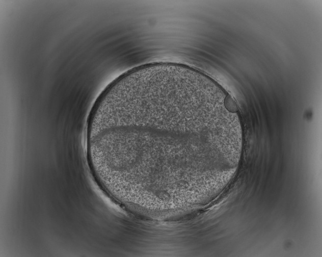 X0000100351084200807031808