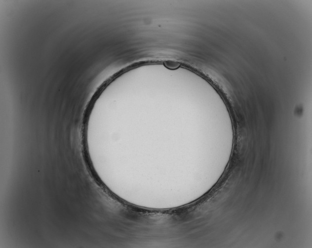 X0000100351085200807031808