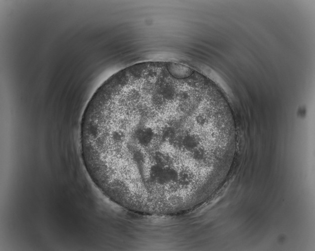 X0000100351087200807031808