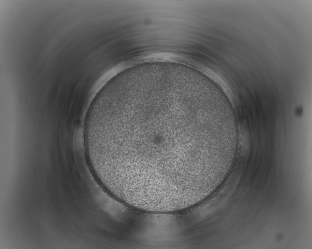 X0000100351090200807031808