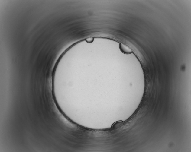 X0000100351092200807031808