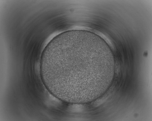 X0000100351094200807031808