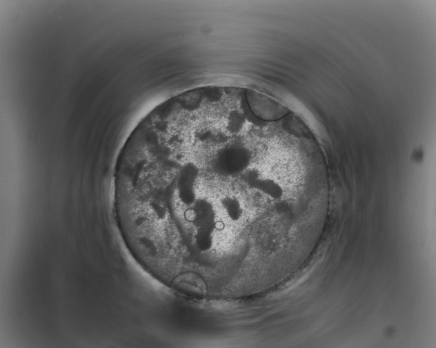 X0000100351095200807031808