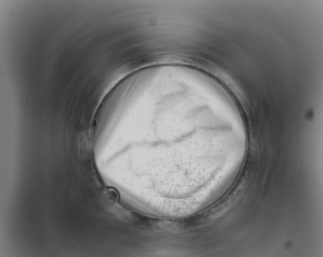 X0000100351097200807031808