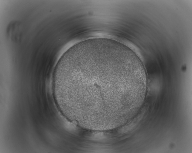 X0000100351098200807031808