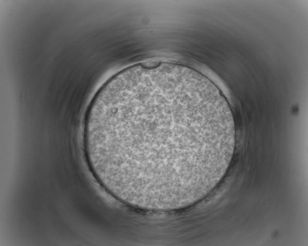 X0000100351099200807031808