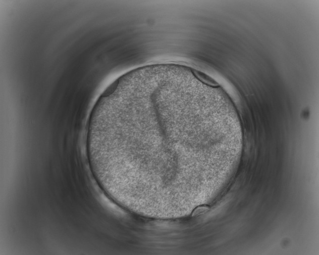 X0000100351102200807031808