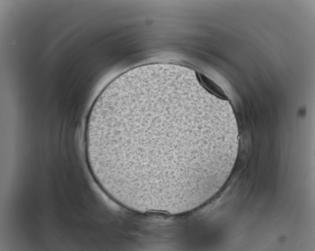 X0000100351103200807031808