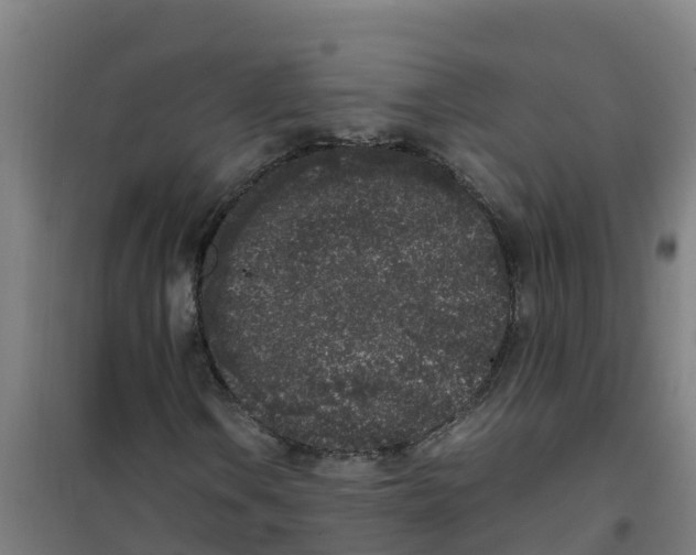 X0000100351106200807031807