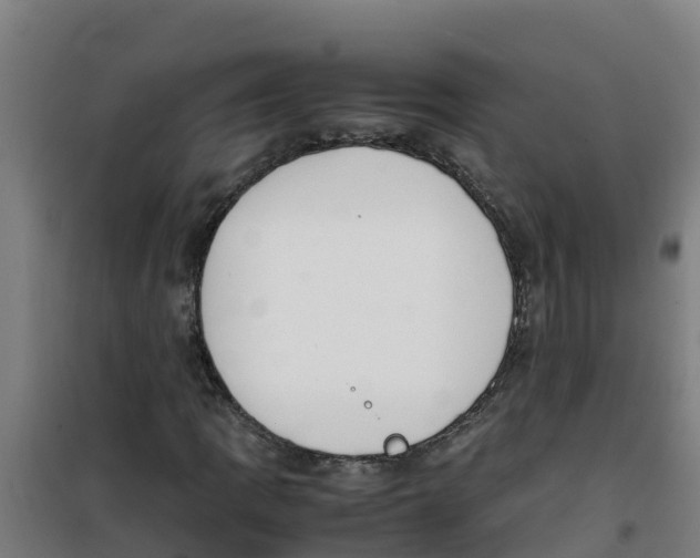 X0000100351109200807031807