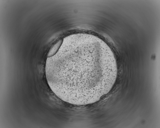 X0000100351110200807031807