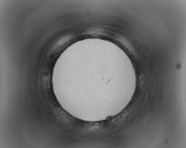 X0000100351111200807031807