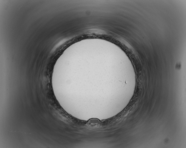 X0000100351112200807031807