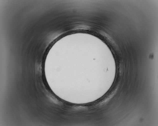 X0000100351113200807031807