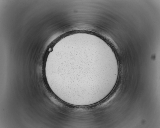 X0000100351114200807031807