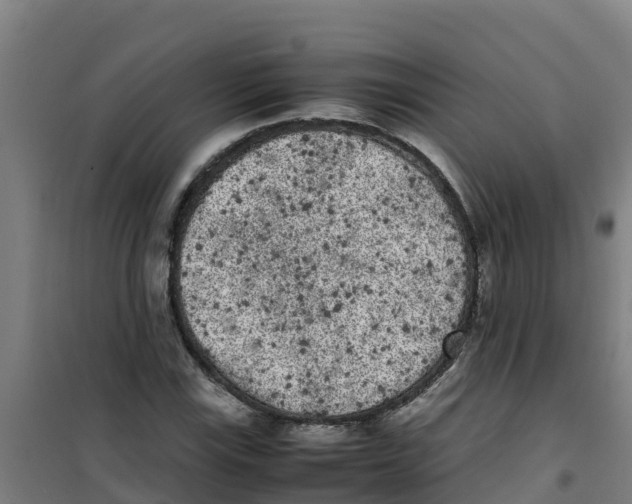 X0000100351115200807031807