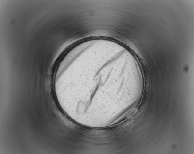 X0000100351116200807031807