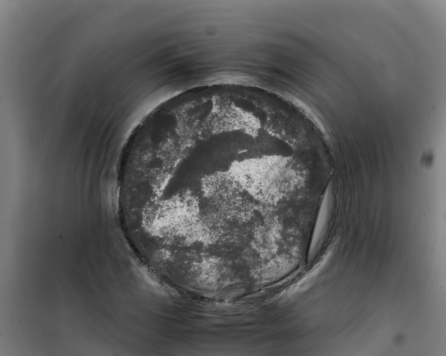 X0000100351117200807031807