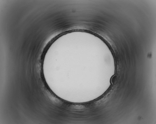 X0000100351119200807031807