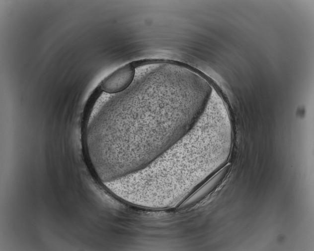 X0000100351120200807031807