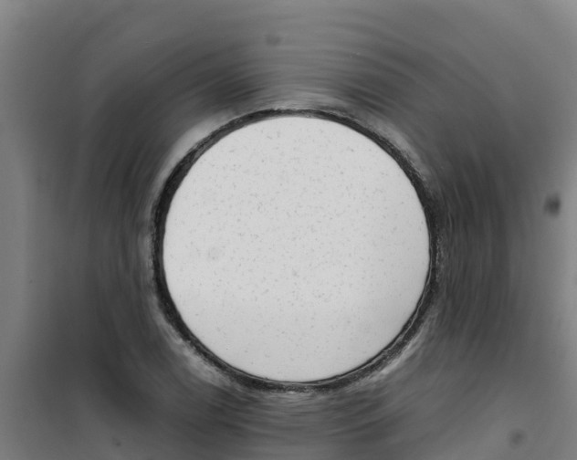 X0000100351122200807031807