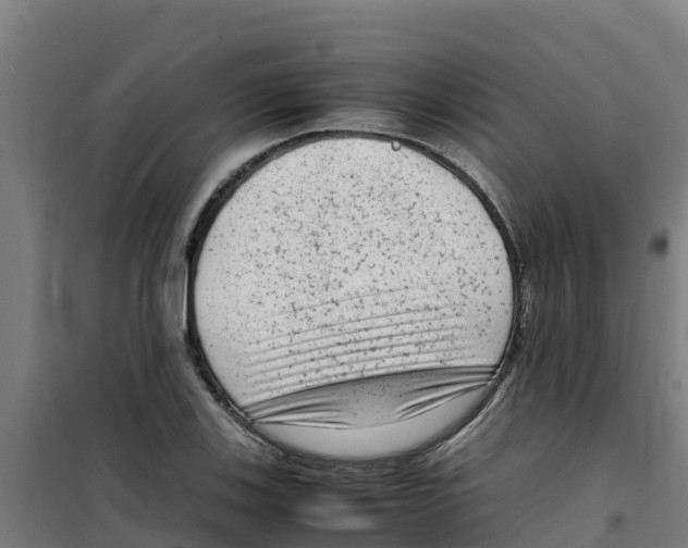 X0000100351123200807031807