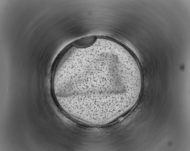 X0000100351124200807031807