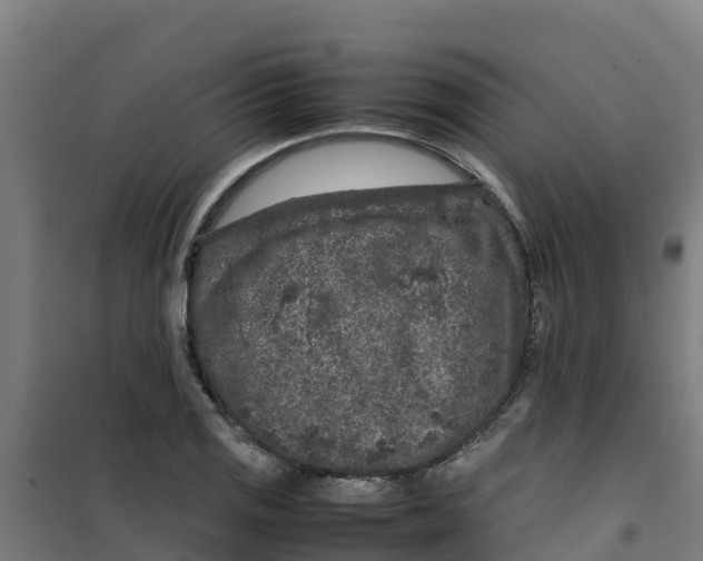 X0000100351125200807031807