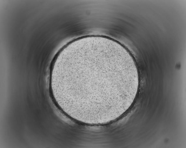 X0000100351126200807031807