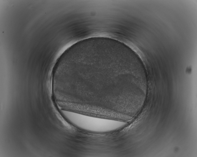 X0000100351127200807031807