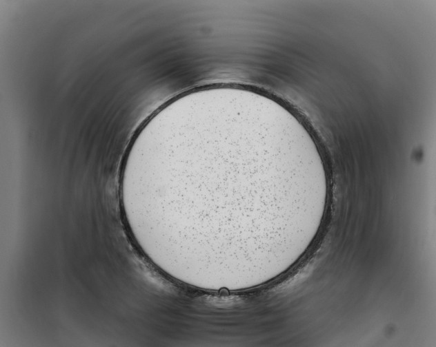 X0000100351129200807031807