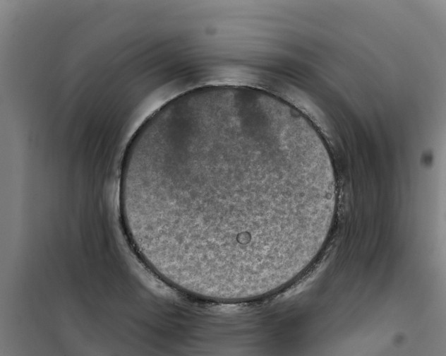 X0000100351130200807031807