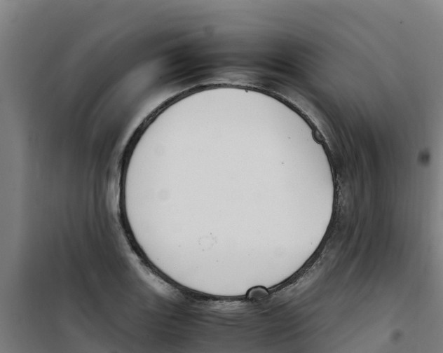 X0000100351131200807031807