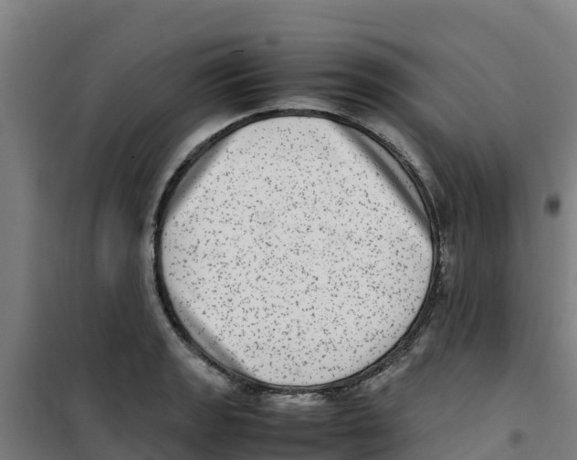 X0000100351133200807031807