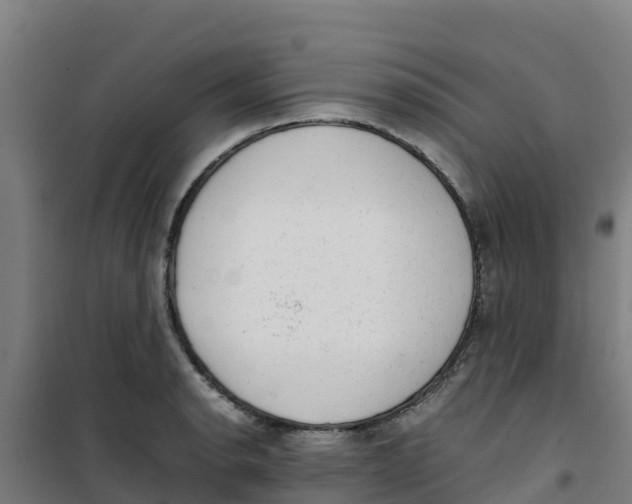 X0000100351134200807031807