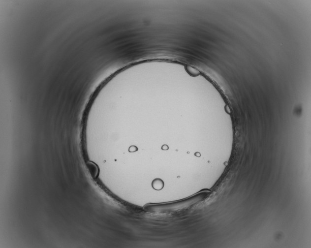 X0000100351135200807031807