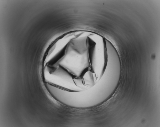 X0000100351136200807031807