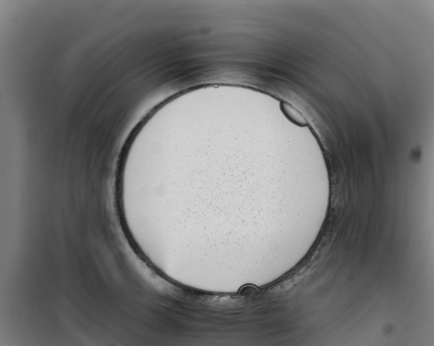 X0000100351139200807031808