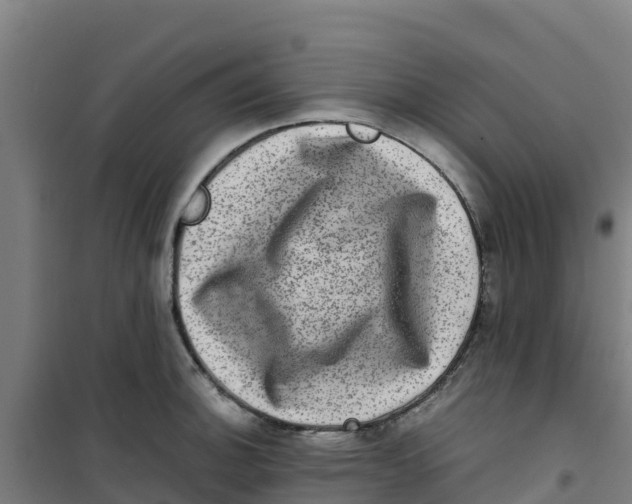 X0000100351140200807031808