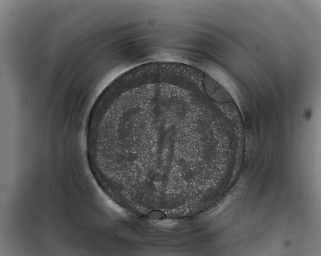 X0000100351141200807031808