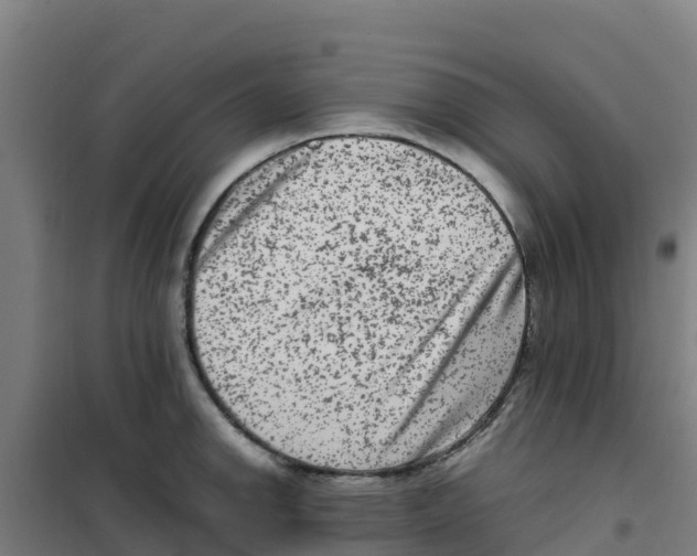 X0000100351142200807031808