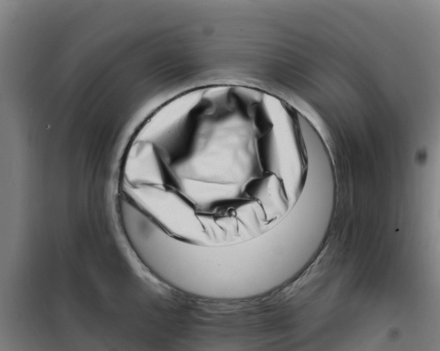 X0000100351144200807031808