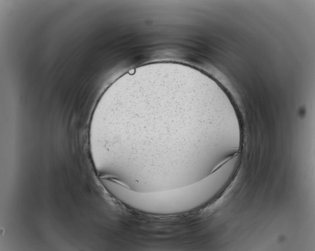 X0000100351145200807031808