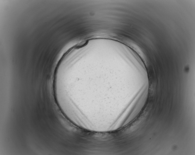 X0000100351146200807031808