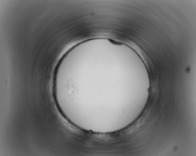 X0000100351147200807031808