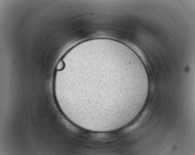 X0000100351149200807031808