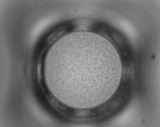 X0000100351150200807031808